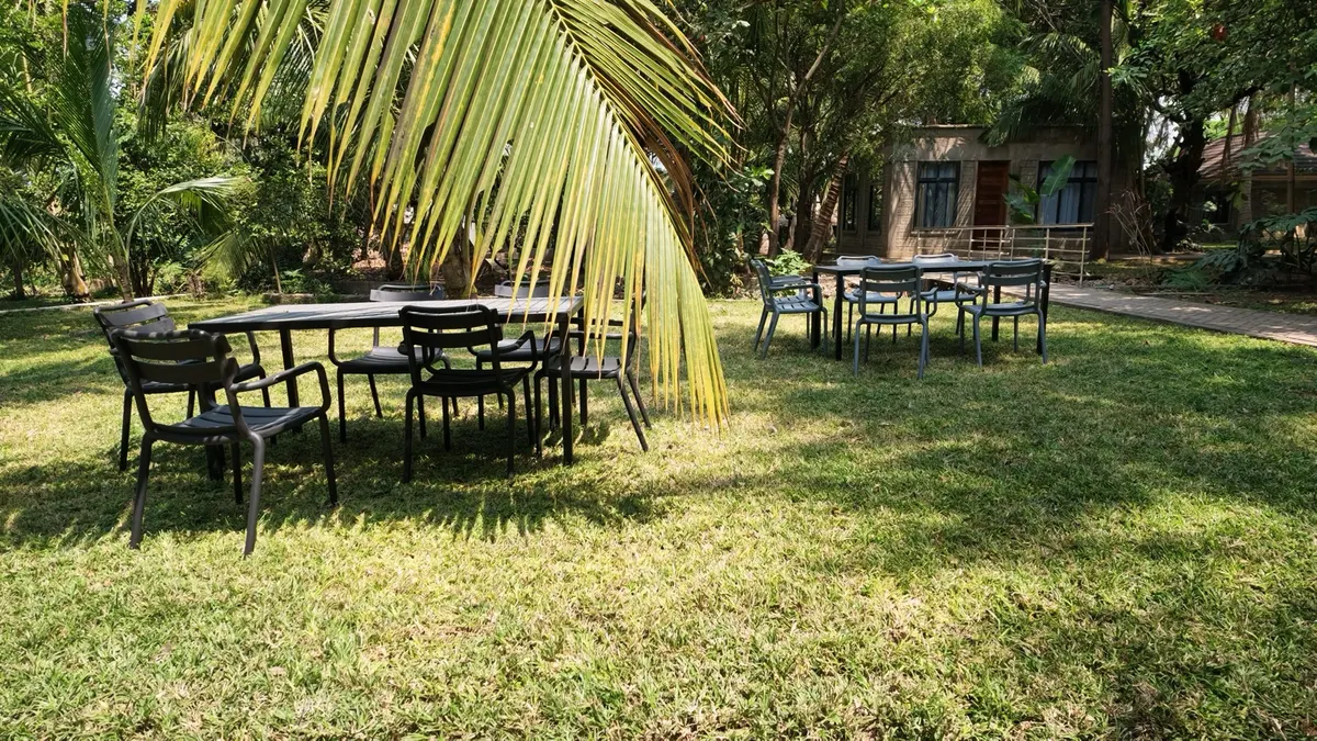 Dining tables scattered across the lawn in dappled shade