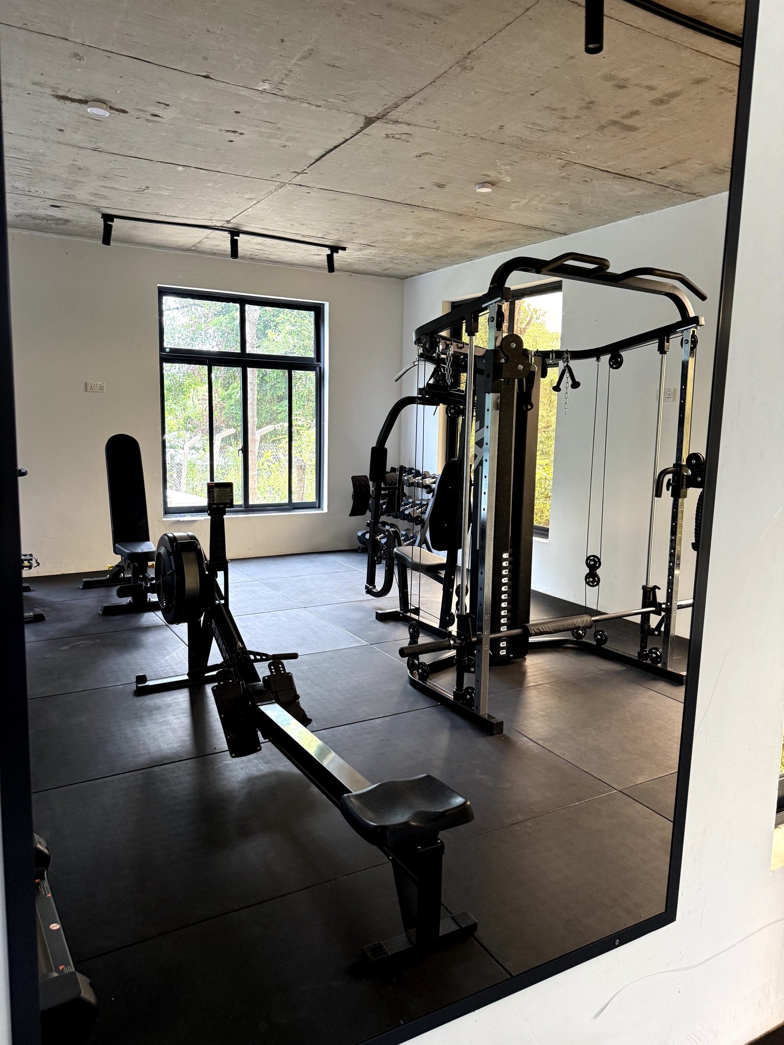 Free weights beneath the palms