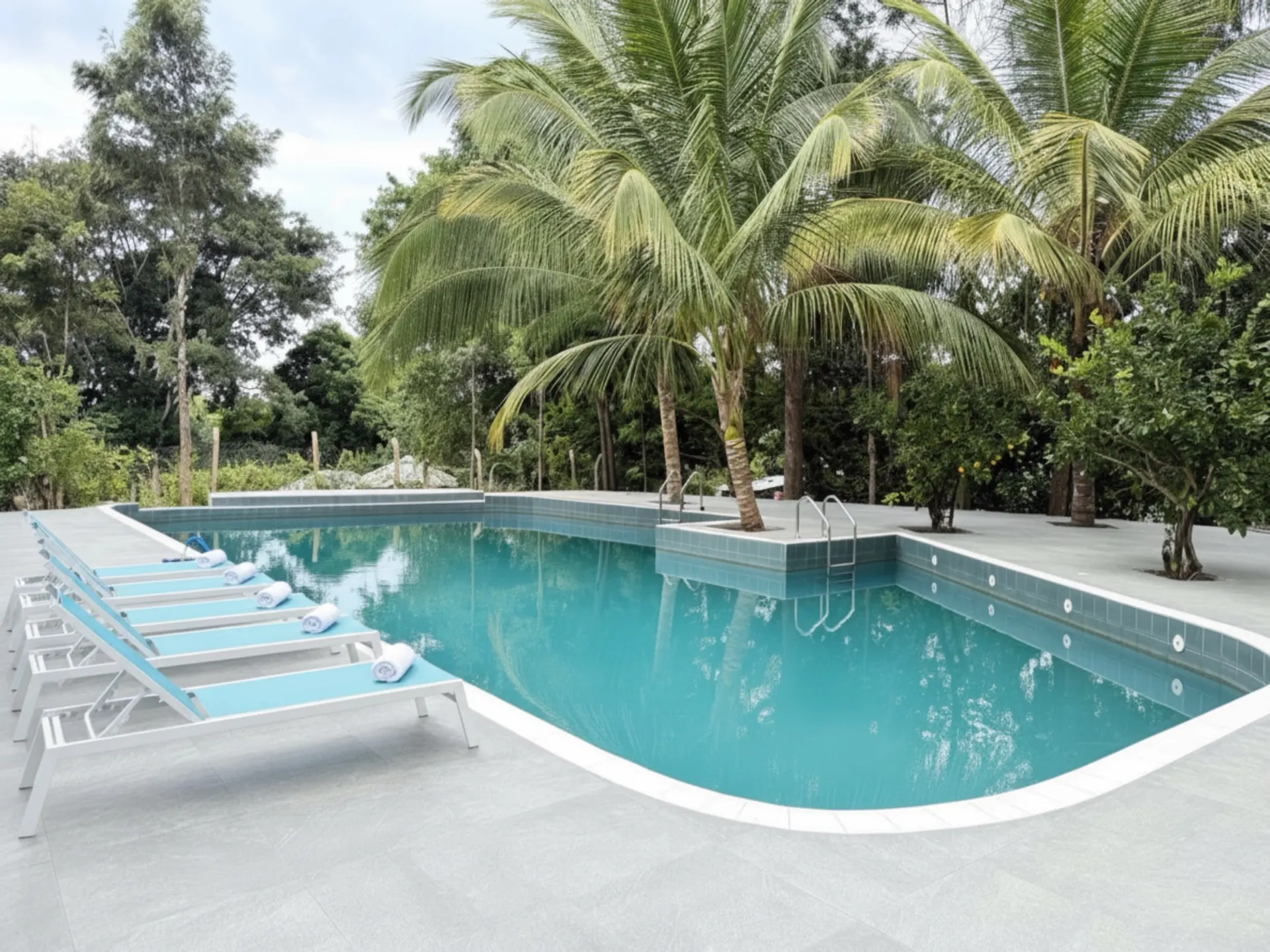 Nagira swimming pool framed by palm trees