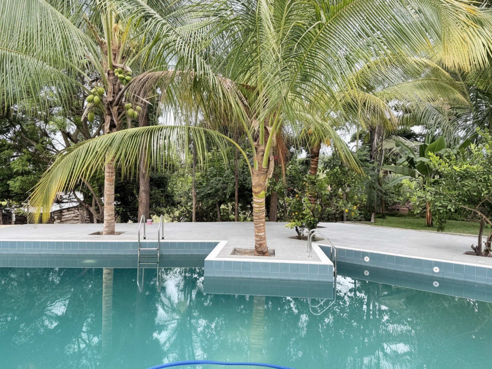 Poolside palms and quiet water at Nagira