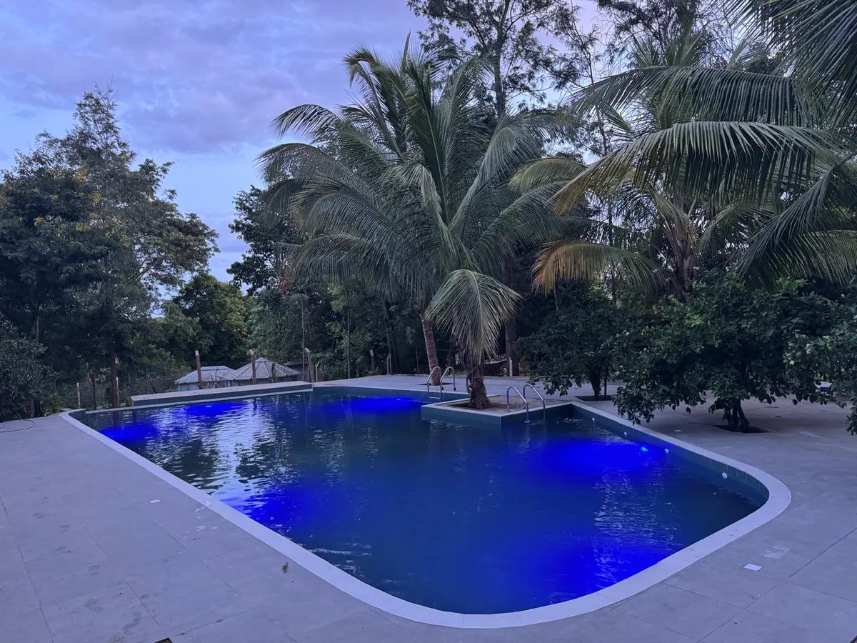 The Nagira pool lit blue beneath palms as the sky fades at dusk