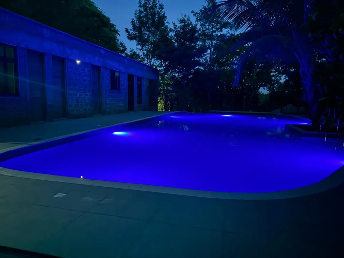 The pool glowing after dark, framed by the garden