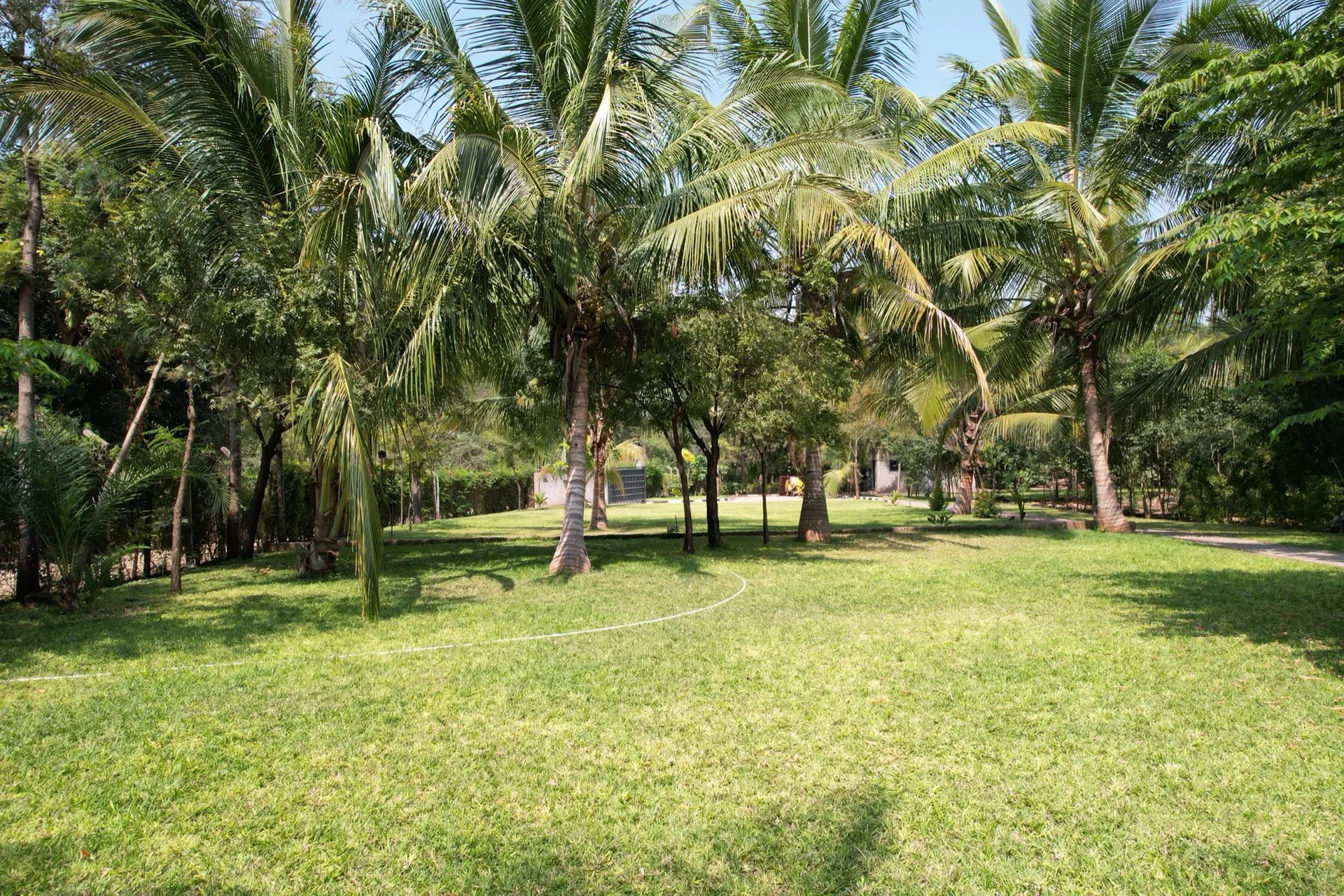 Open lawn beneath tall coconut palms at Nagira, ready for a celebration